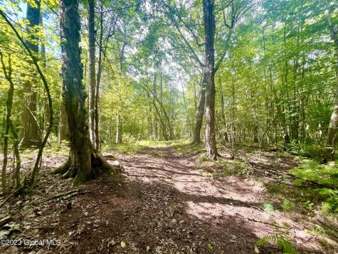 313 Pettis Road Wilton NY 12831