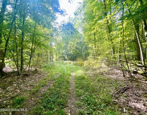 313 Pettis Road Wilton NY 12831