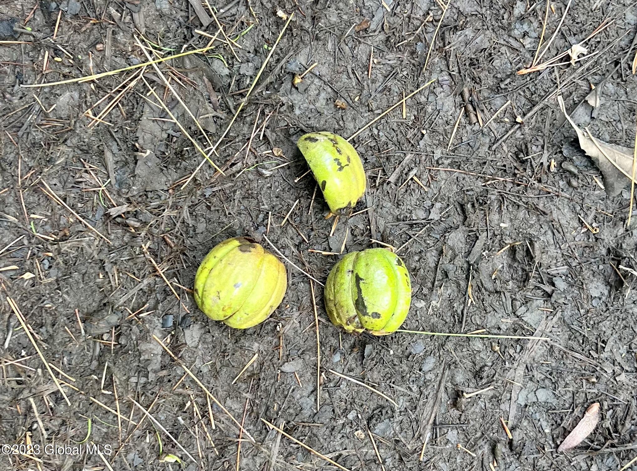 313 Pettis Road Wilton NY 12831
