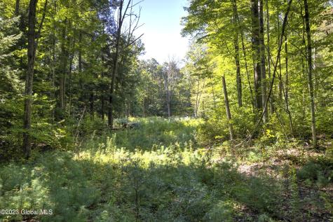 313 Pettis Road Wilton NY 12831
