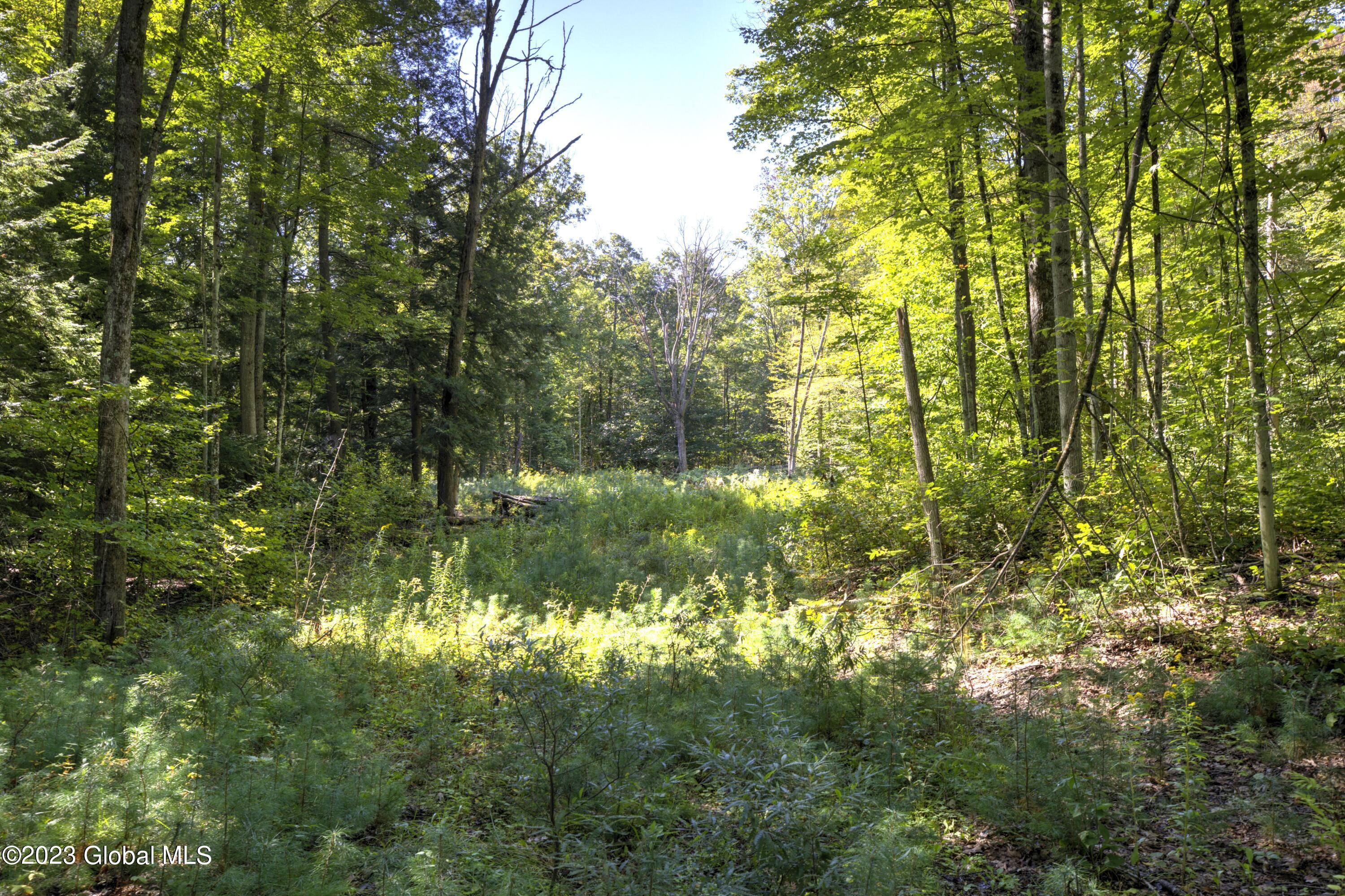 313 Pettis Road Wilton NY 12831