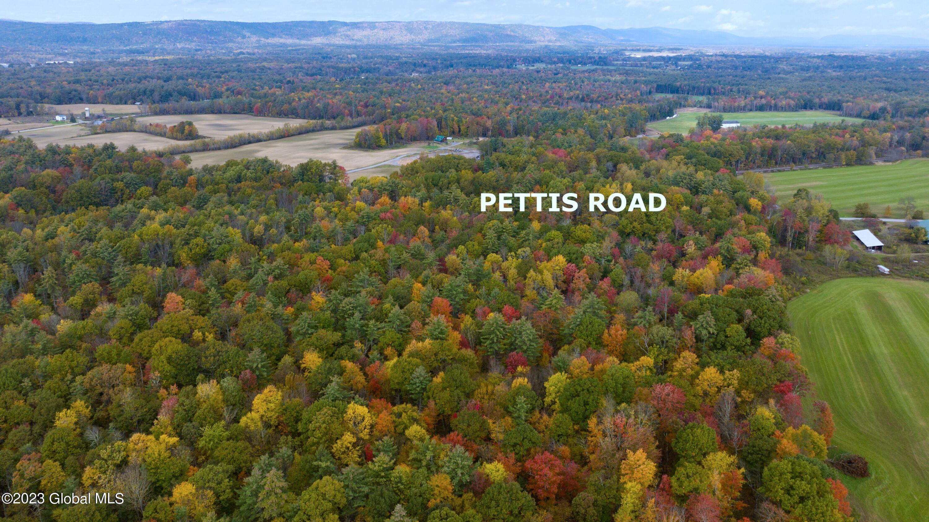 313 Pettis Road Wilton NY 12831