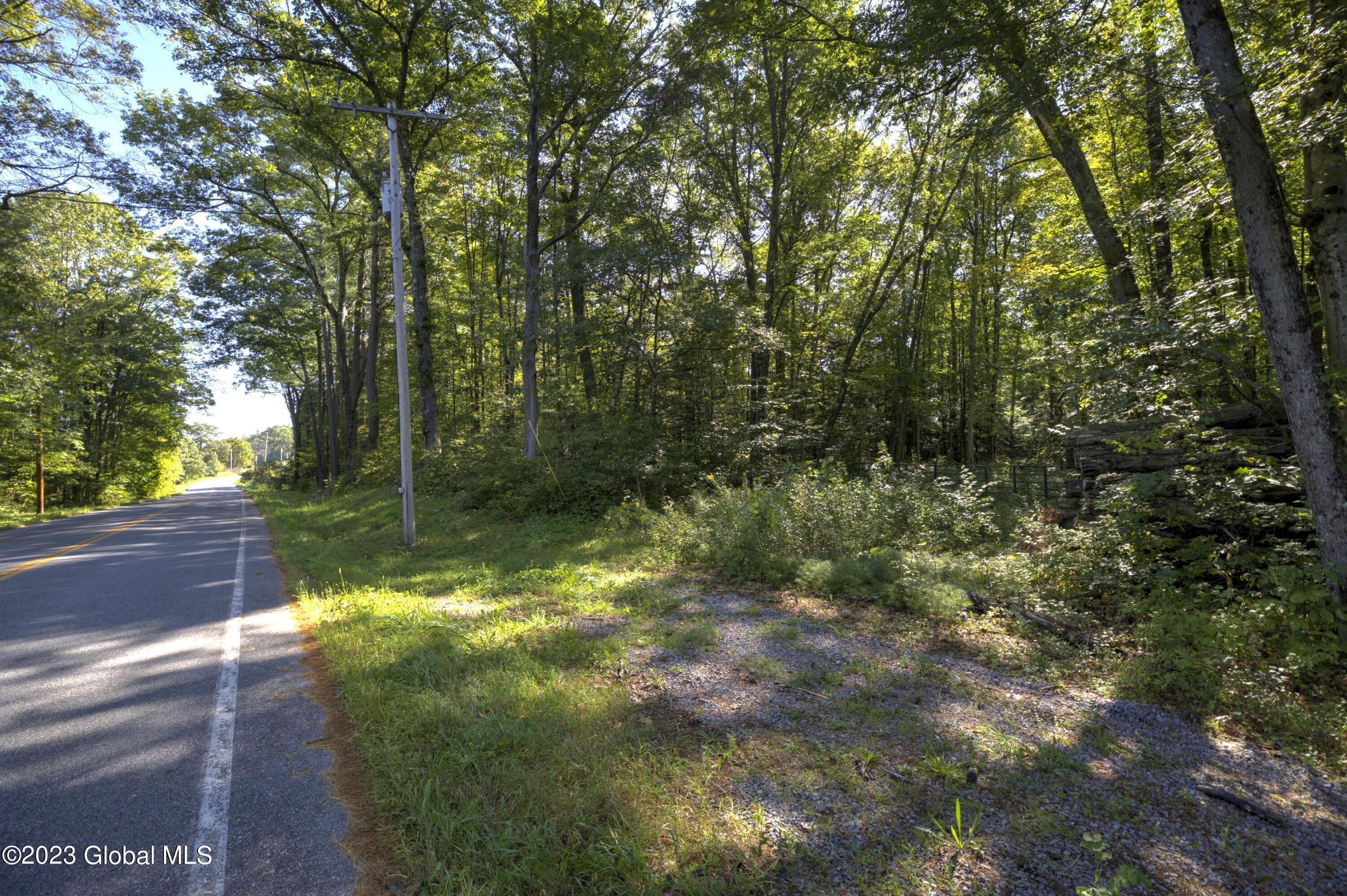 313 Pettis Road Wilton NY 12831