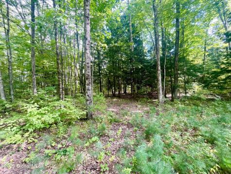 313 Pettis Road Wilton NY 12831