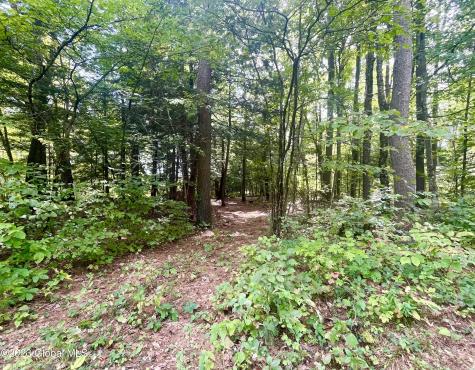 313 Pettis Road Wilton NY 12831