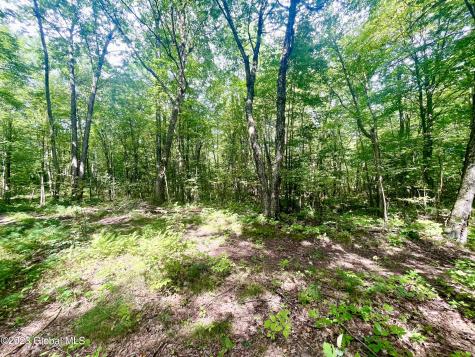 313 Pettis Road Wilton NY 12831