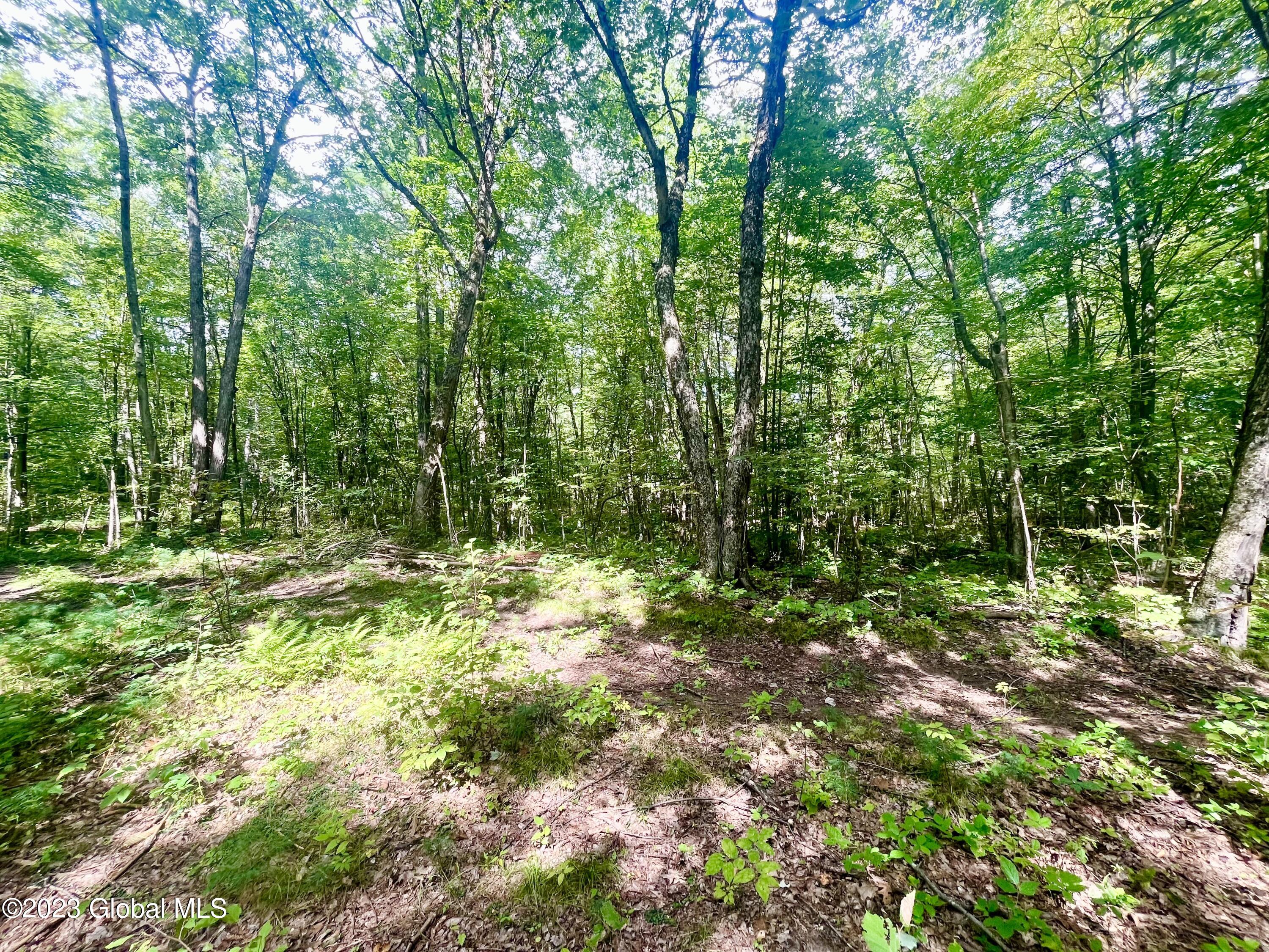 313 Pettis Road Wilton NY 12831