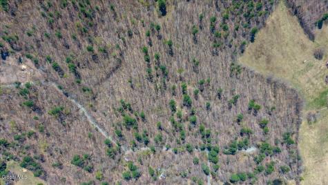 155 Thistle Hill Road Petersburgh NY 12138