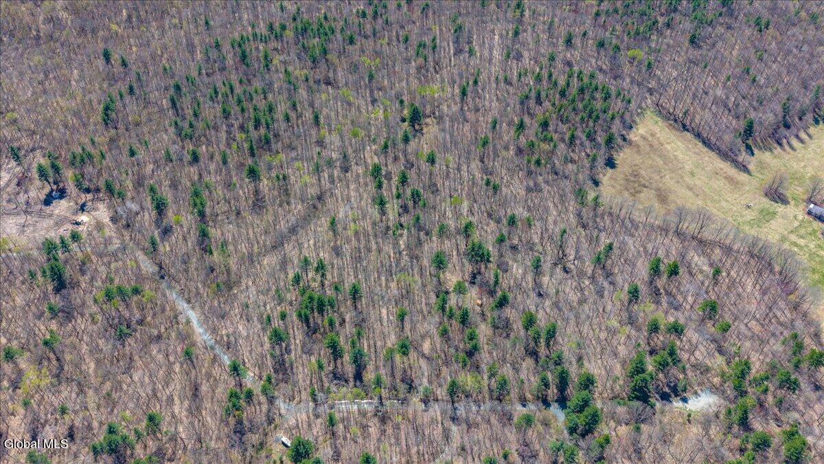 155 Thistle Hill Road Petersburgh NY 12138