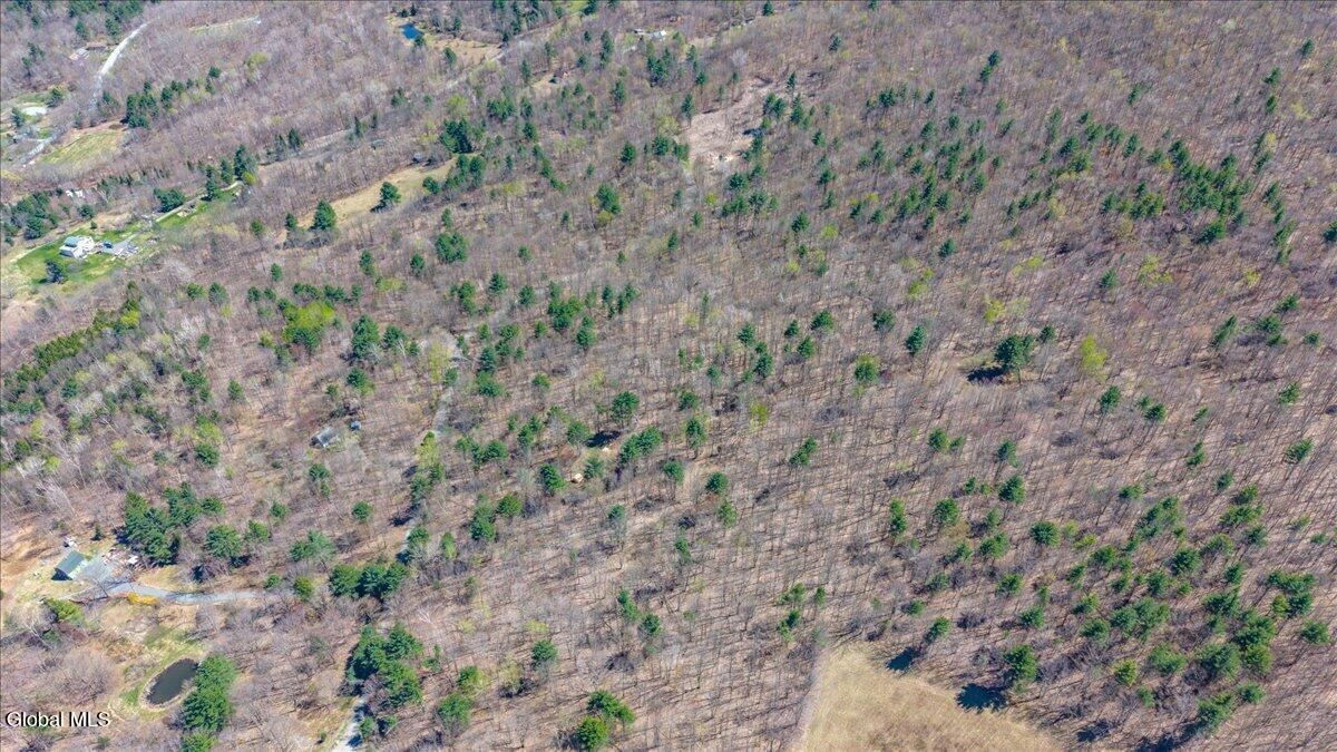 155 Thistle Hill Road Petersburgh NY 12138