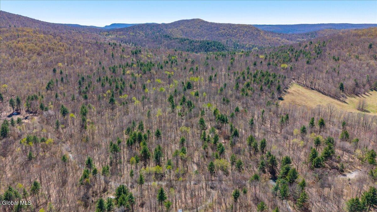 155 Thistle Hill Road Petersburgh NY 12138
