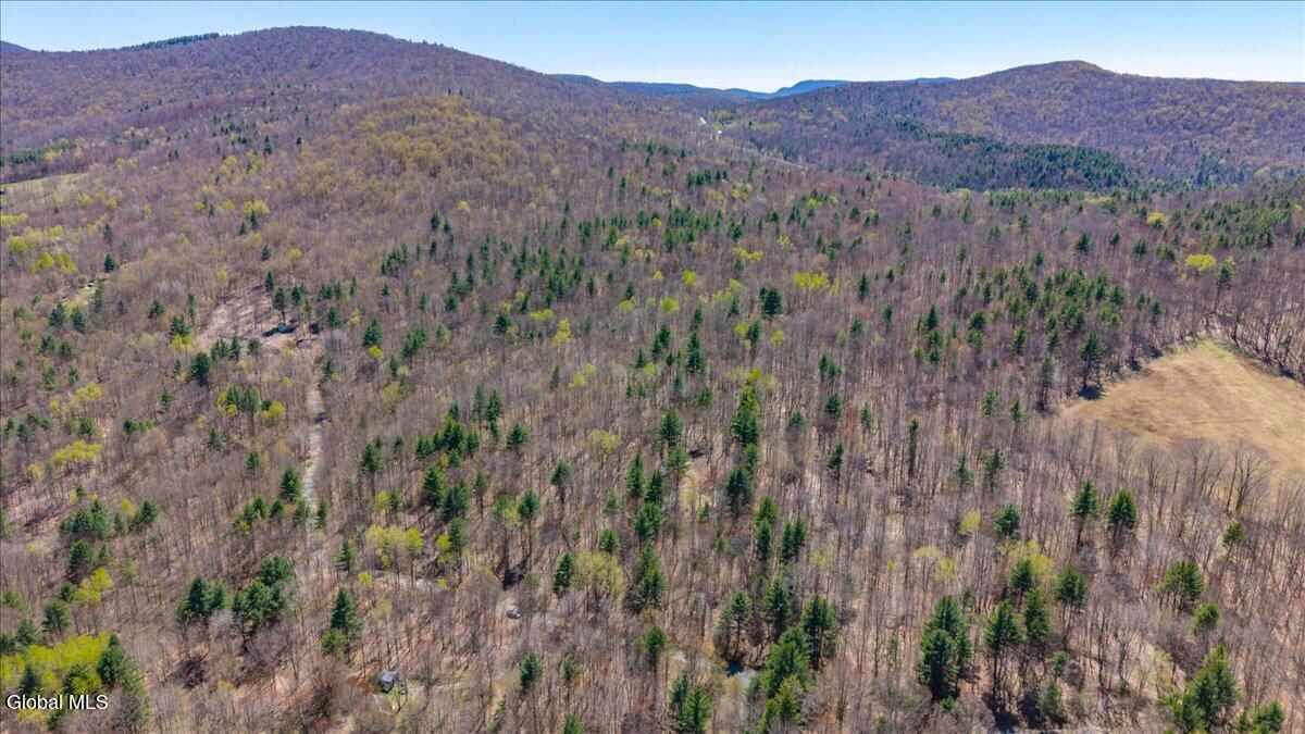 155 Thistle Hill Road Petersburgh NY 12138