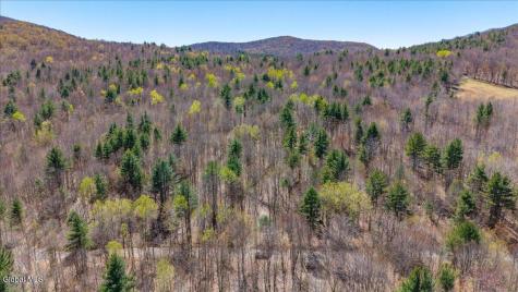 155 Thistle Hill Road Petersburgh NY 12138