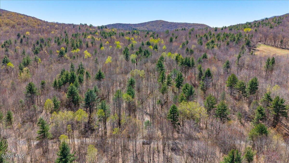 155 Thistle Hill Road Petersburgh NY 12138