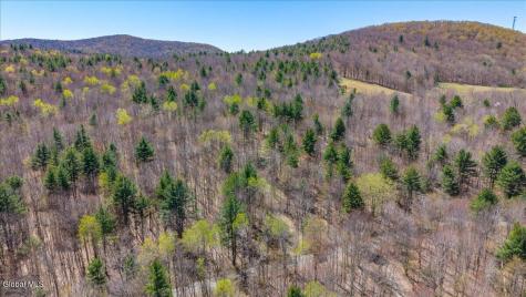 155 Thistle Hill Road Petersburgh NY 12138
