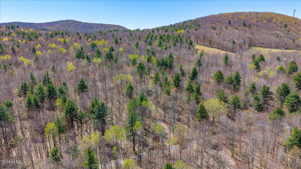 155 Thistle Hill Road Petersburgh NY 12138