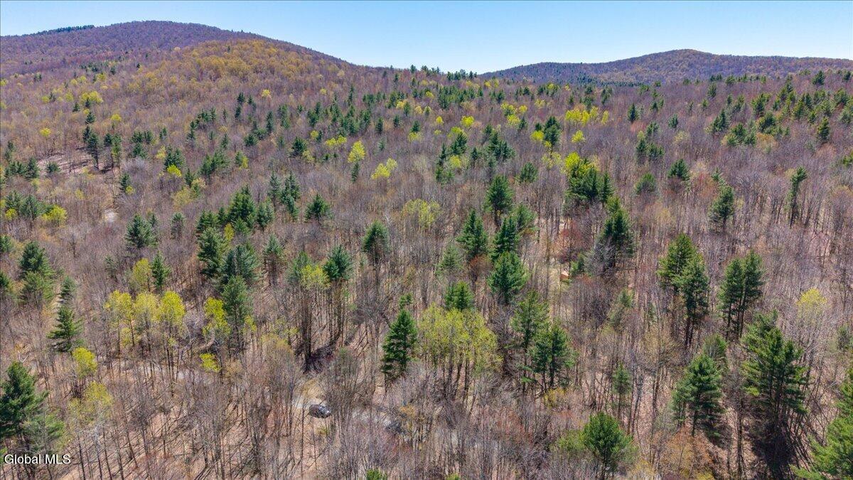 155 Thistle Hill Road Petersburgh NY 12138