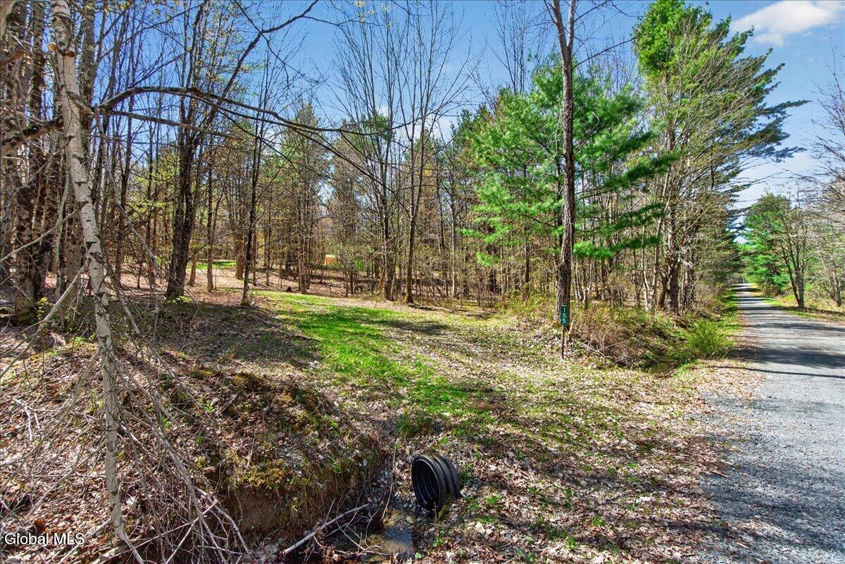 155 Thistle Hill Road Petersburgh NY 12138