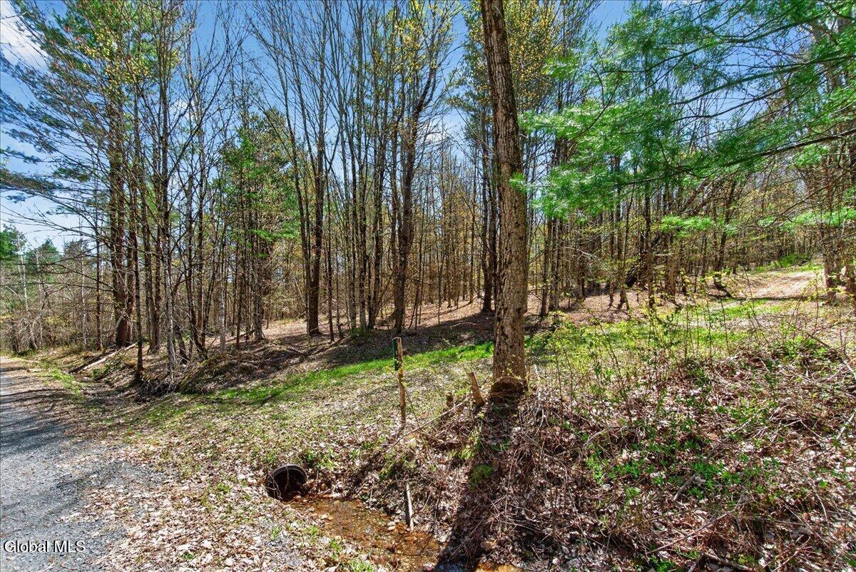 155 Thistle Hill Road Petersburgh NY 12138