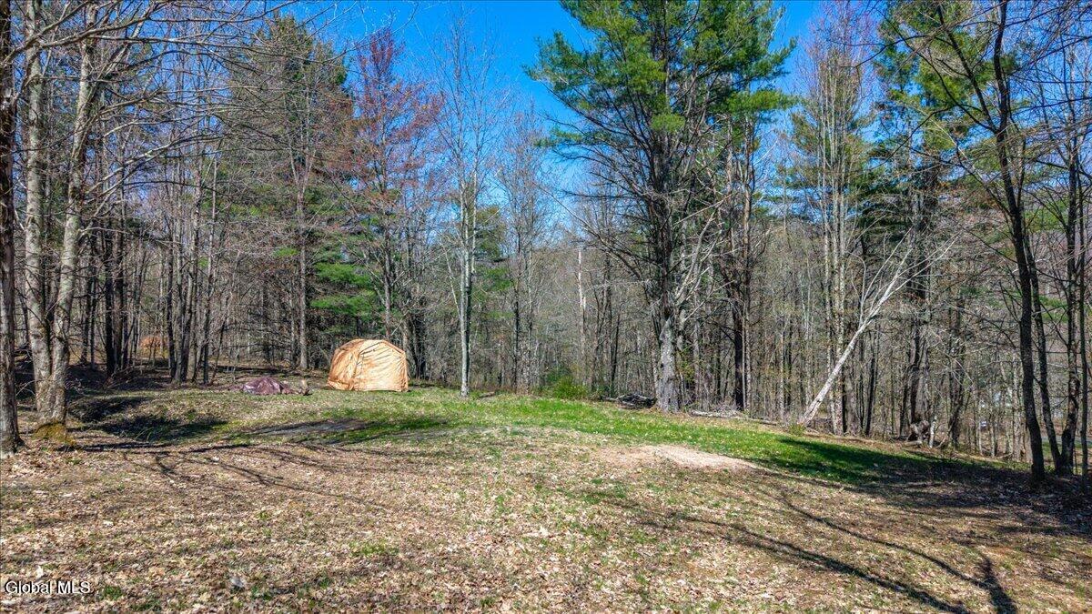 155 Thistle Hill Road Petersburgh NY 12138