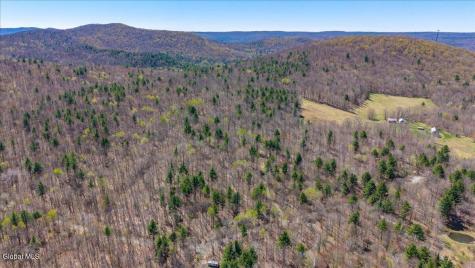 155 Thistle Hill Road Petersburgh NY 12138