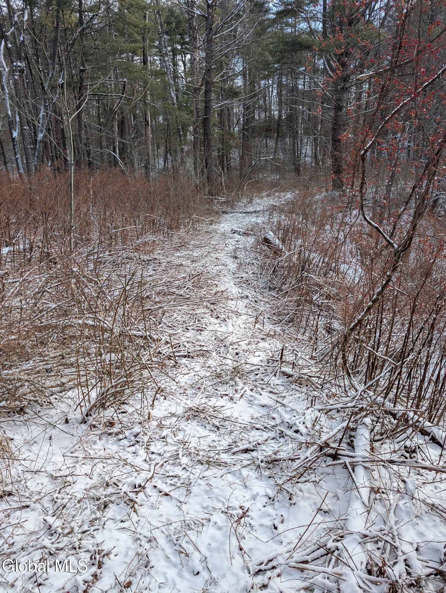 932 Saratoga Road Wilton NY 12831
