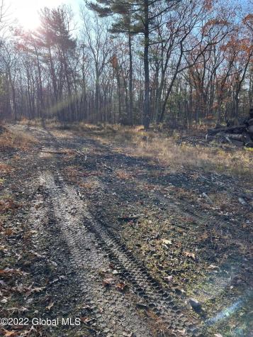 L26 & L27 Ecker Hollow Road Cobleskill NY 12043