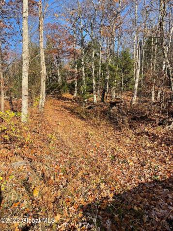 L26 & L27 Ecker Hollow Road Cobleskill NY 12043