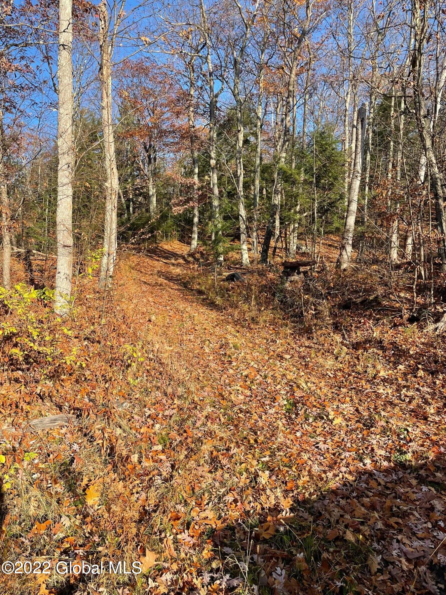 L26 & L27 Ecker Hollow Road Cobleskill NY 12043