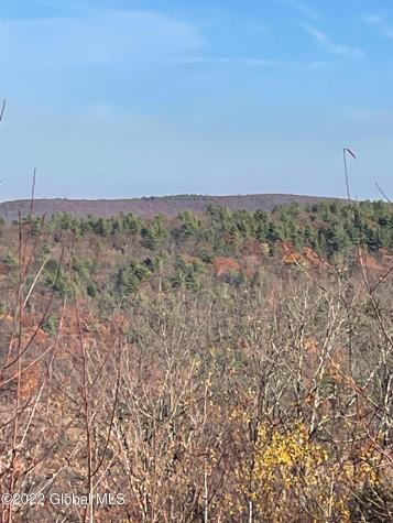 L26 & L27 Ecker Hollow Road Cobleskill NY 12043