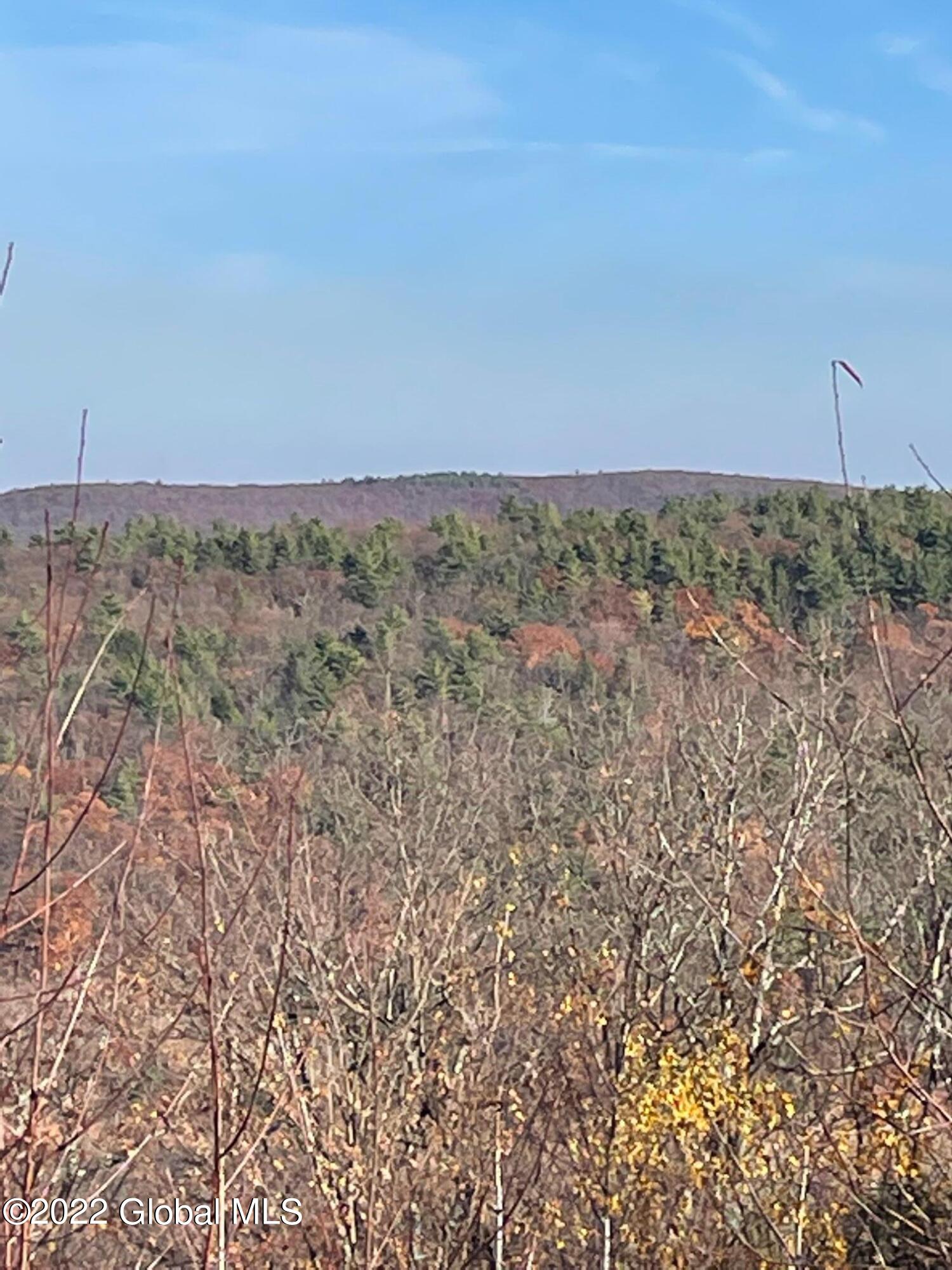 L26 & L27 Ecker Hollow Road Cobleskill NY 12043
