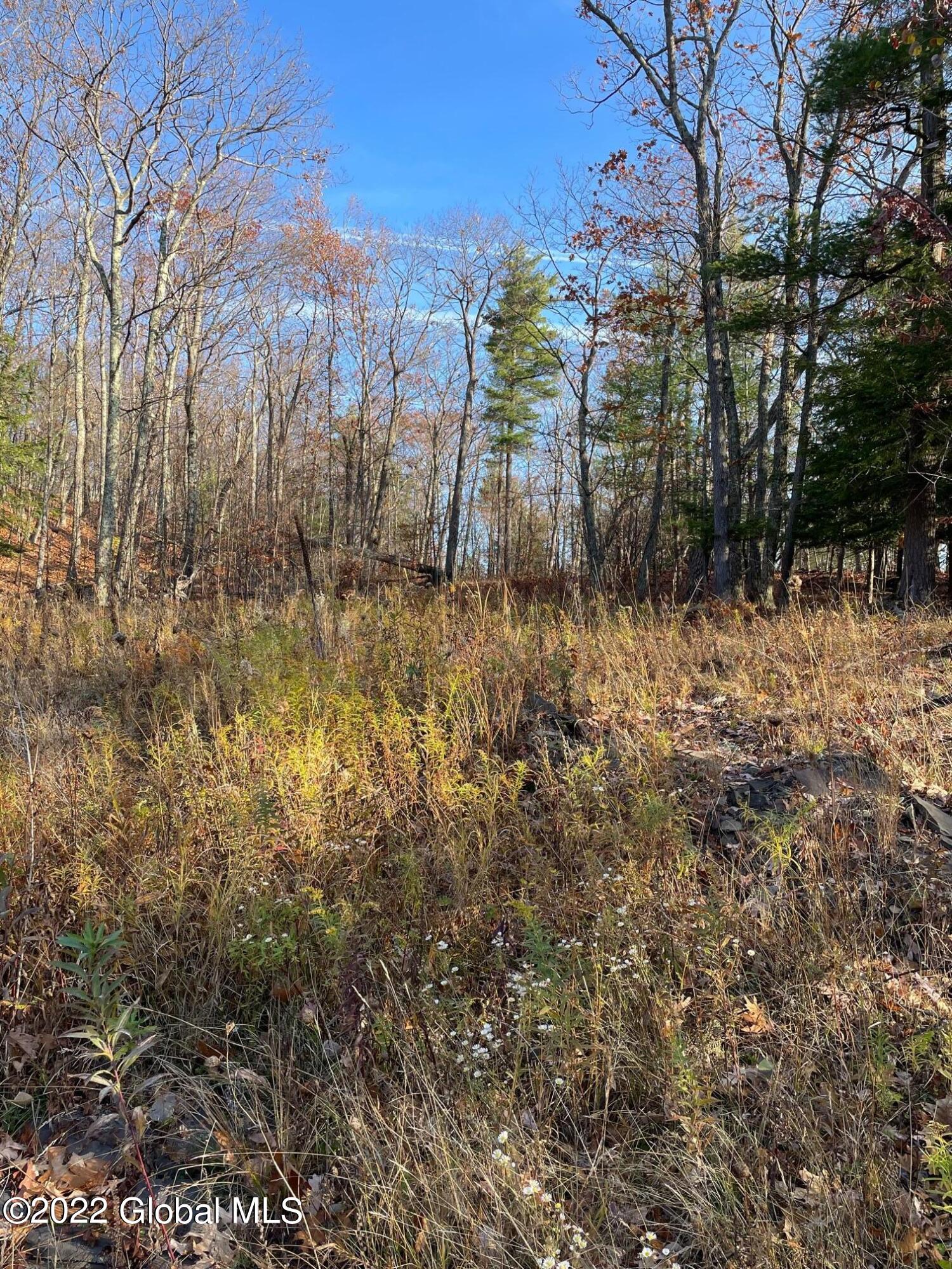 L26 & L27 Ecker Hollow Road Cobleskill NY 12043