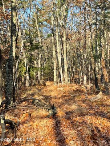 L26 & L27 Ecker Hollow Road Cobleskill NY 12043