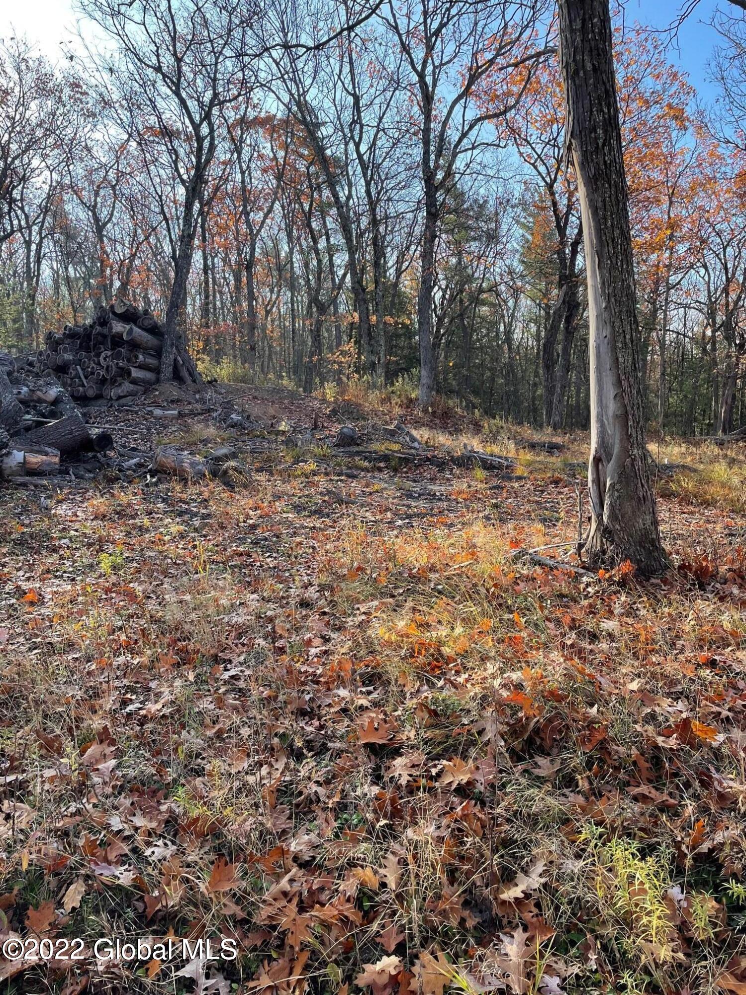 L26 & L27 Ecker Hollow Road Cobleskill NY 12043