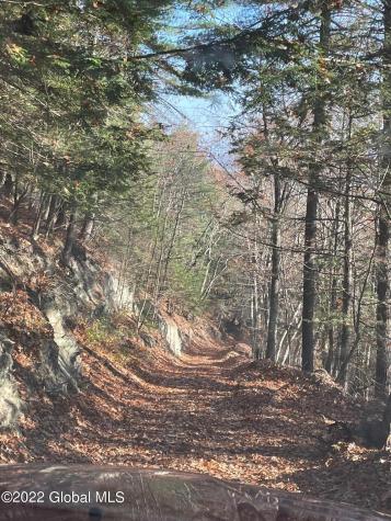 L26 & L27 Ecker Hollow Road Cobleskill NY 12043