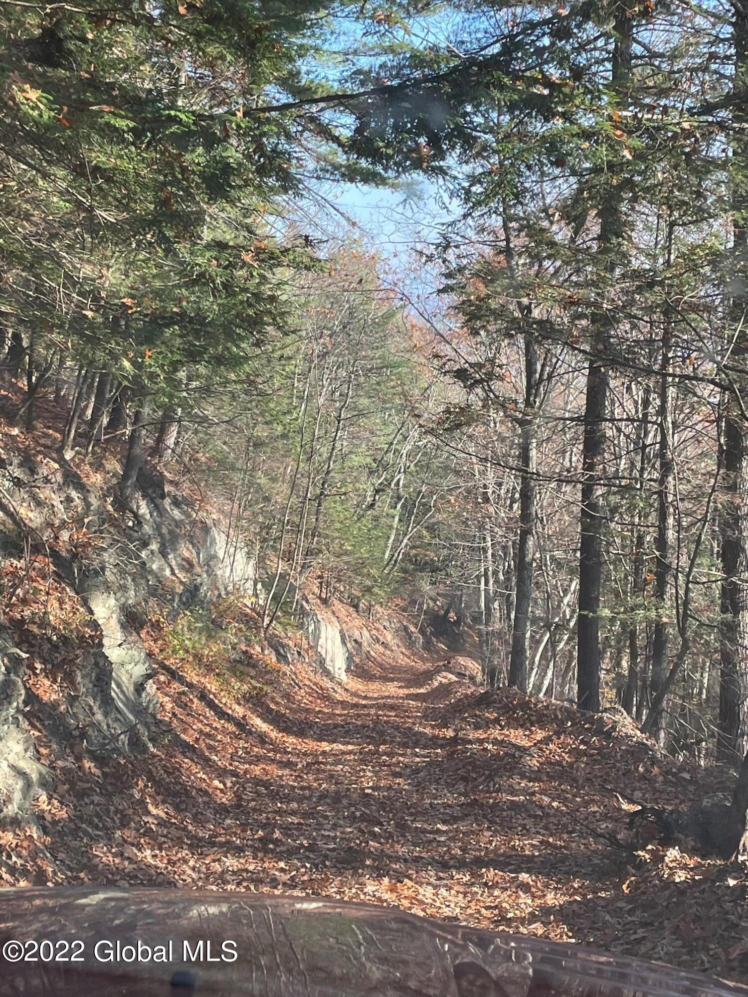 L26 & L27 Ecker Hollow Road Cobleskill NY 12043