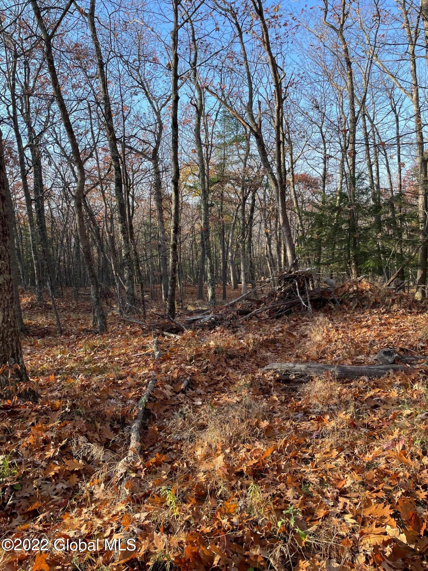 L26 & L27 Ecker Hollow Road Cobleskill NY 12043