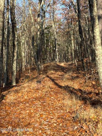 L26 & L27 Ecker Hollow Road Cobleskill NY 12043