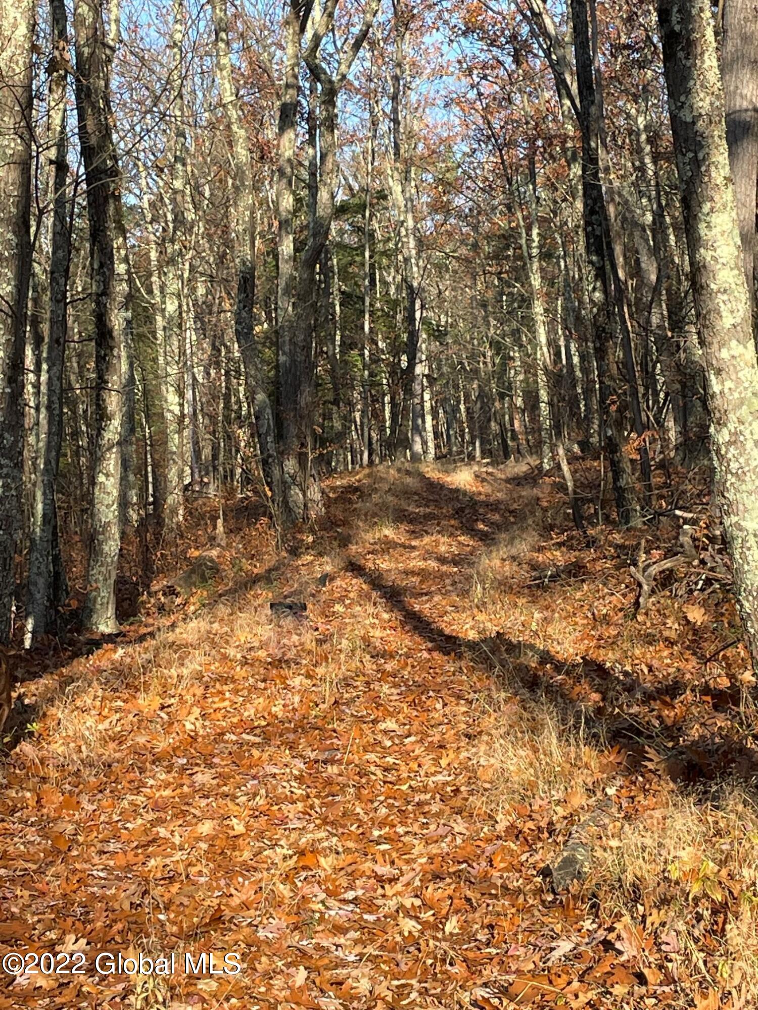L26 & L27 Ecker Hollow Road Cobleskill NY 12043