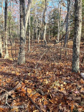 L26 & L27 Ecker Hollow Road Cobleskill NY 12043