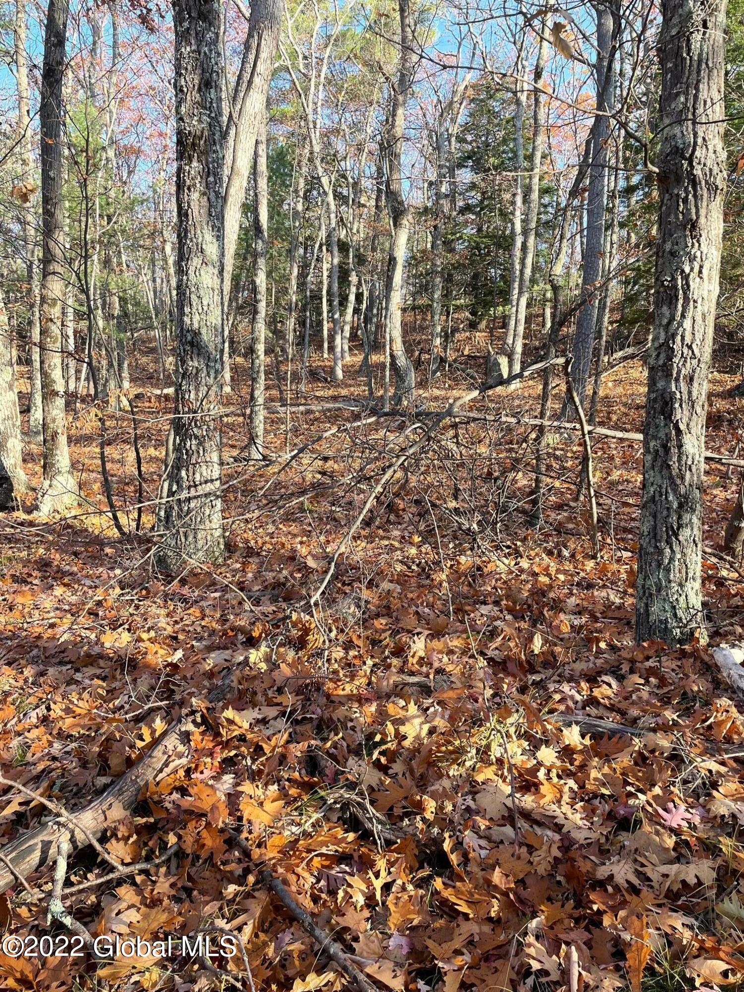 L26 & L27 Ecker Hollow Road Cobleskill NY 12043