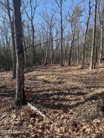 L26 & L27 Ecker Hollow Road Cobleskill NY 12043