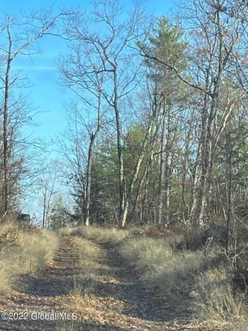 L26 & L27 Ecker Hollow Road Cobleskill NY 12043