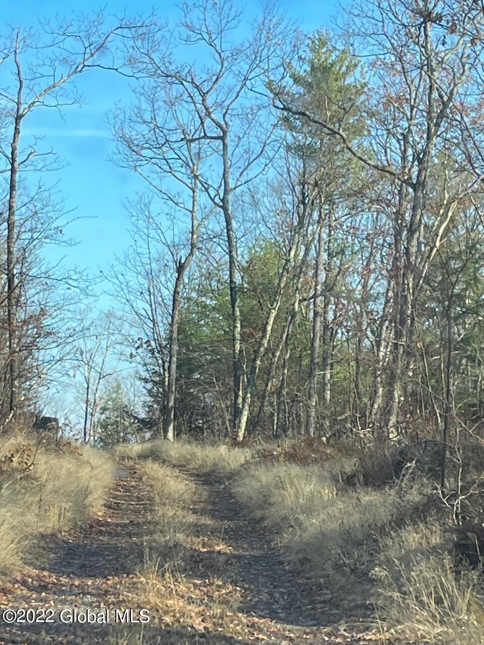L26 & L27 Ecker Hollow Road Cobleskill NY 12043