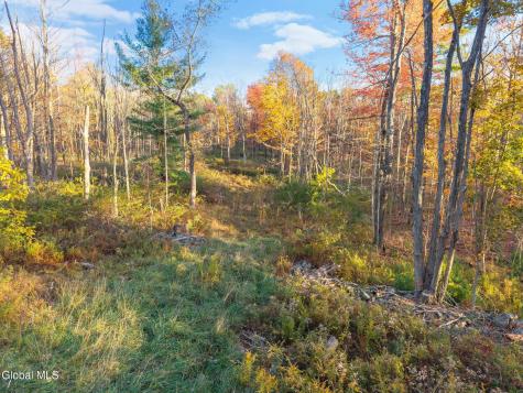 138 Old Road Grafton NY 12052