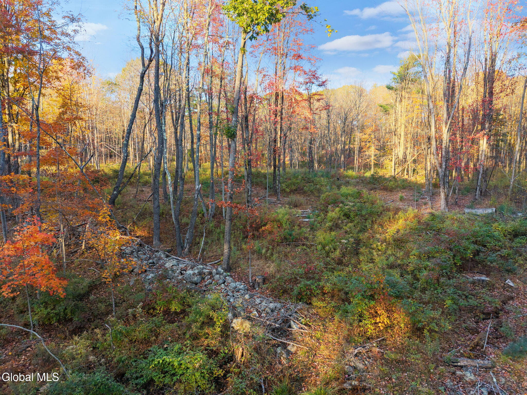 138 Old Road Grafton NY 12052