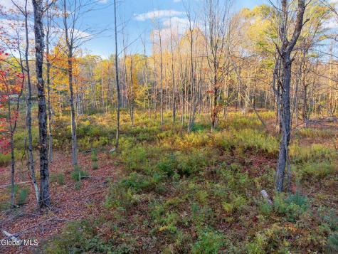 138 Old Road Grafton NY 12052