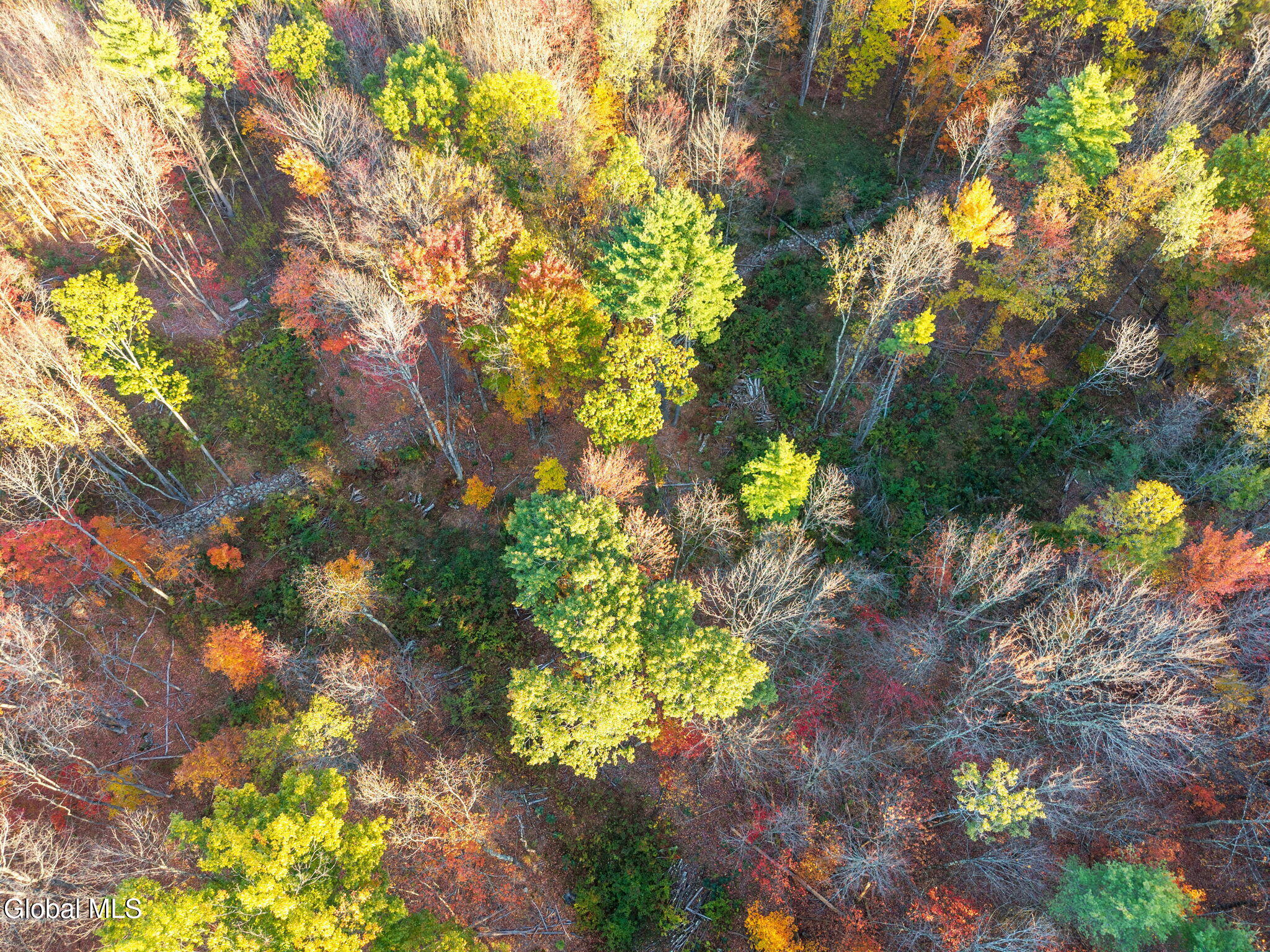 138 Old Road Grafton NY 12052