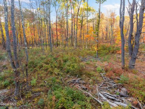 138 Old Road Grafton NY 12052