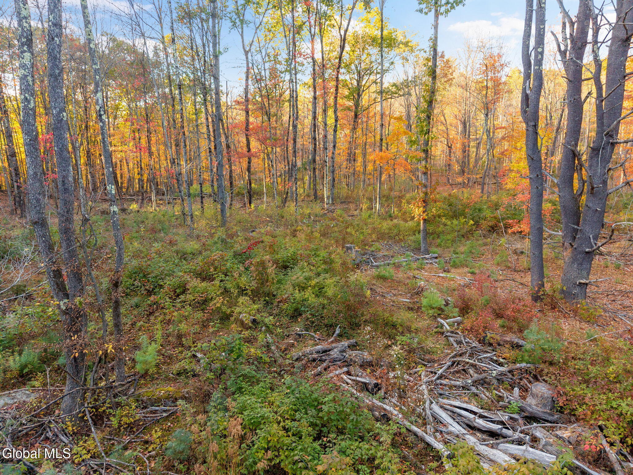 138 Old Road Grafton NY 12052